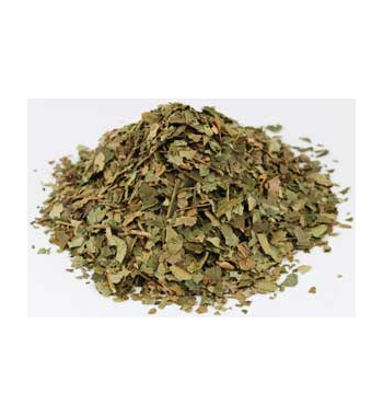 Witch Hazel Dried Ritual Herb