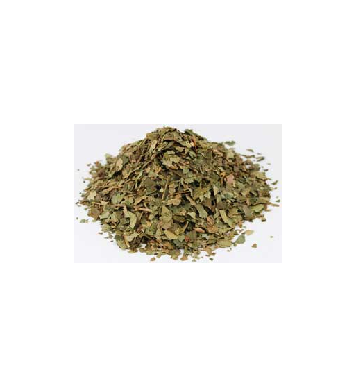 Witch Hazel Dried Ritual Herb Witch Hazel Dried Ritual Herb