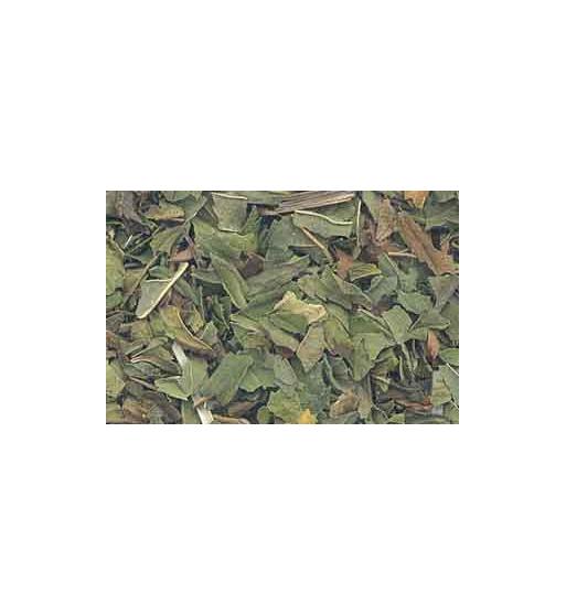 Peppermint Dried Ritual Herb