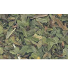 Peppermint Dried Ritual Herb