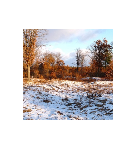 Winter Solstice Incense