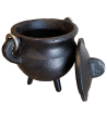 Classic Cauldron w/Lid, Black