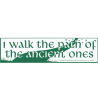 Ancient Ones Path Bumper Sticker