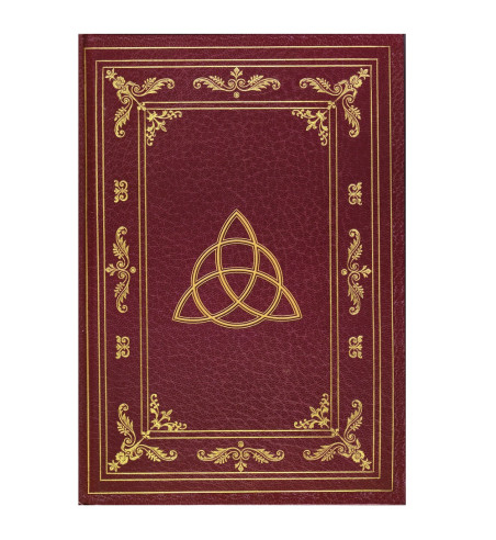 Golden triquetra journal front cover details.