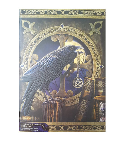 A single raven sits on a bookshelf in front of a round window on the cover of this journal.