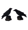 Huginn & Muninn Statuettes