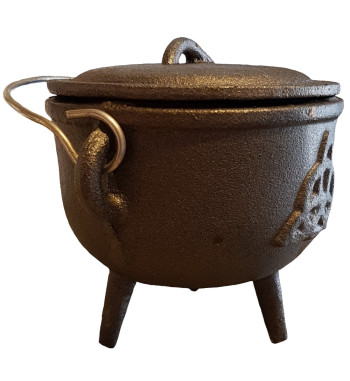 Cast Iron Cauldron